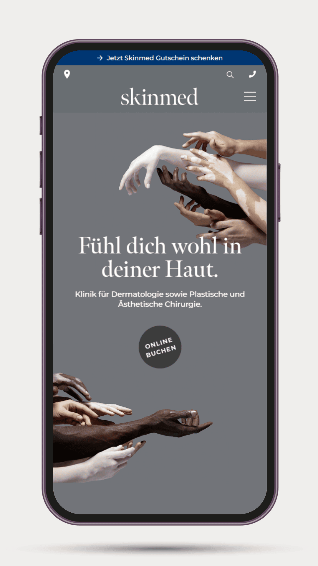 WordPress Programmierer Schweiz