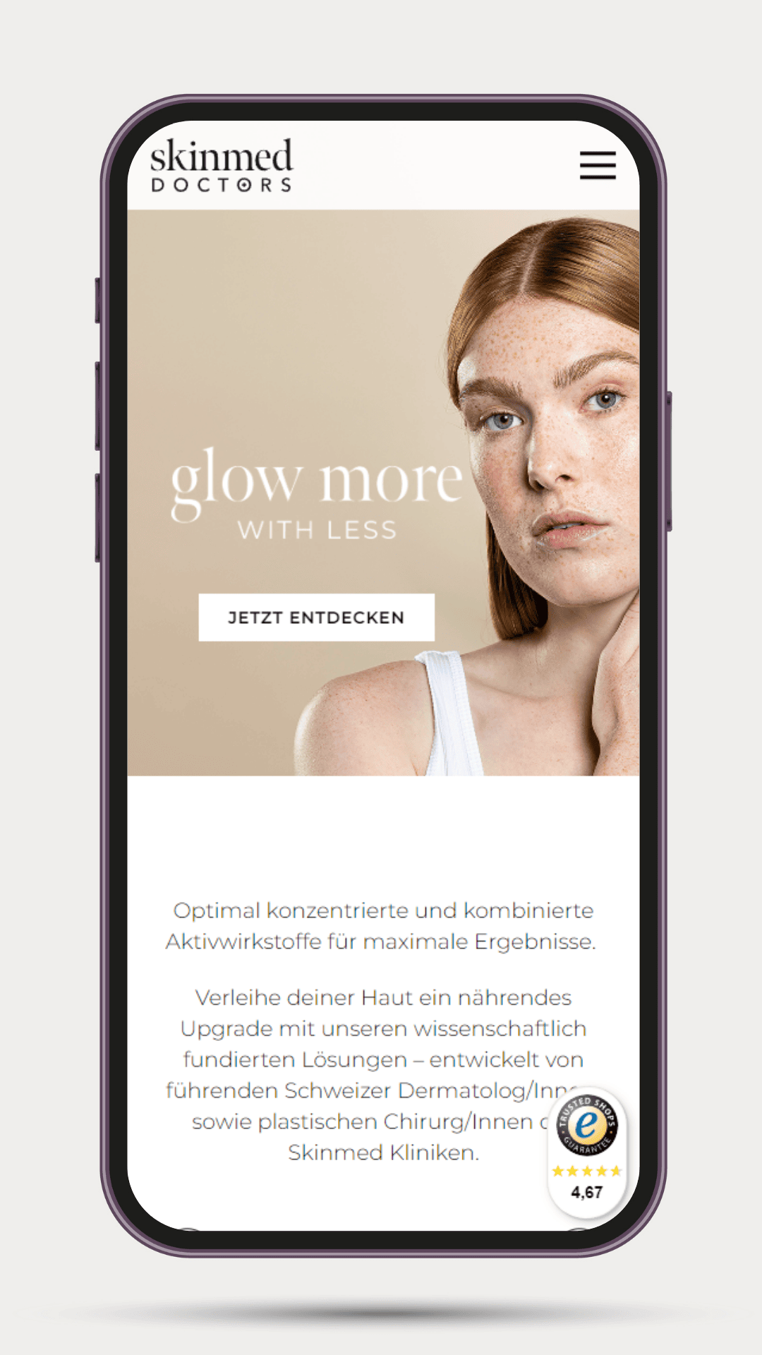 WordPress Entwickler Schweiz